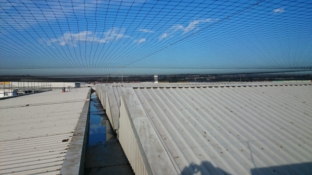 Anti Seagull Nets
