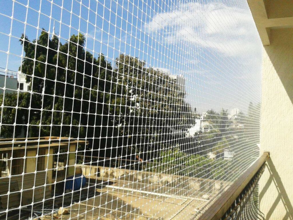 Sparrow Protection Nets